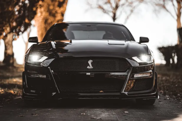 Lapilanders Casino Android/iOS App